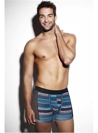 Erkek Pamuklu Yan Fileli Çizgili Bokser (1763)