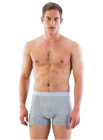 Gri MI Emay 6700 Erkek Boxer