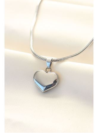 316L Çelik Gümüş Renk Kalp Kolye