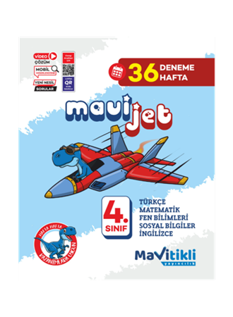 4.SINIF MAVİJET