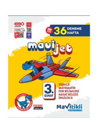3.SINIF MAVİJET