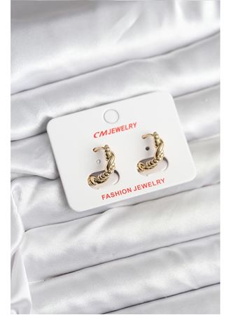 14K Gold Renk Kaplama Burgu Model CM Kadın Küpe