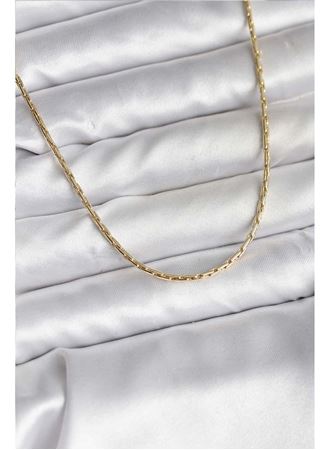 14K Gold Renk Kaplama İnce Zincir Model CM Kadın Kolye