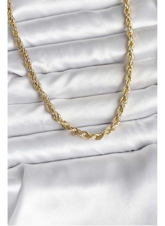 14K Gold Renk Kaplama Burgu Model CM Kadın Kolye