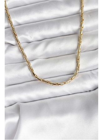 14K Gold Renk Kaplama Model CM Kadın Kolye