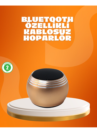 Cep Boy Bluetooth Hoparlör Güçlü Ses Çıkışı TWS Destekli