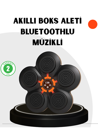 Evde Fitness İçin Akıllı Boks Makinesi Işıklı Vuruş Noktalı Bluetoothlu