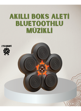 Bluetoothlu Akıllı Boks Antrenman Cihazı Işıklı Hedefli Kardiyo ve Fitness Aleti