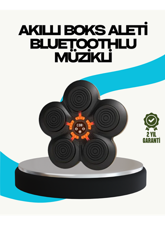 Ev Tipi Akıllı Boks Duvar Paneli Müzikli Bluetoothlu Refleks Geliştirme Cihazı