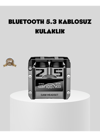 Gürültü Engelleyici Kablosuz Bluetooth Kulaklık – Oyun ve Müzik İçin Profesyonel Ses
