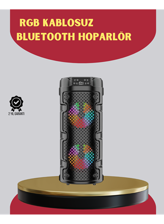 Çift Sürücülü Taşınabilir Kablosuz Hoparlör