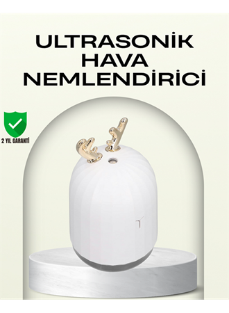 ABS+PP Malzemeli Taşınabilir 220 ml USB Mist Nemlendirici