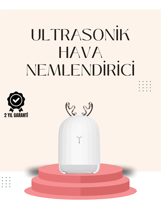 USB Şarjlı Mini USB Nemlendirici LED Işıklı Masaüstü Cihaz