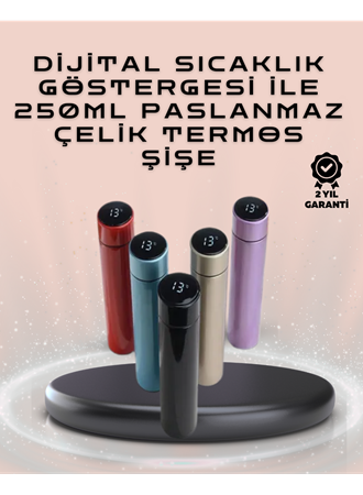 250ml LED Ekranlı Paslanmaz Çelik Akıllı Termos