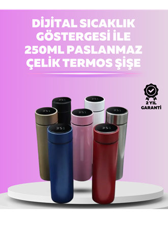 LED Sıcaklık Ölçerli 250 ml Yalıtımlı Termos Şişe