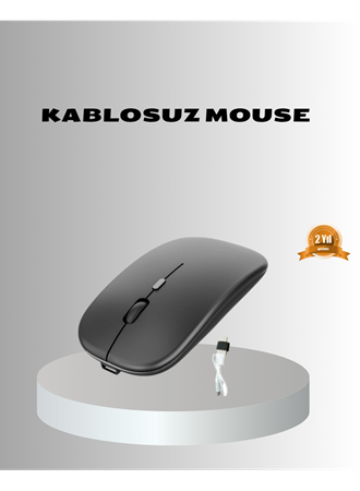 Kablosuz Gaming Mouse –  Ayarlanabilir, Ergonomik