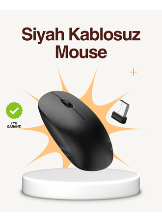 Kablosuz Sessiz Mouse – Ayarlanabilir DPI ve USB Bağlantılı