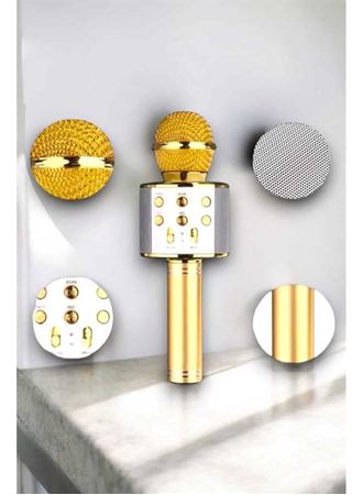 Taşınabilir Bluetooth Karaoke Mikrofon: Hafıza Kart Girişli, Etkileyici Performans