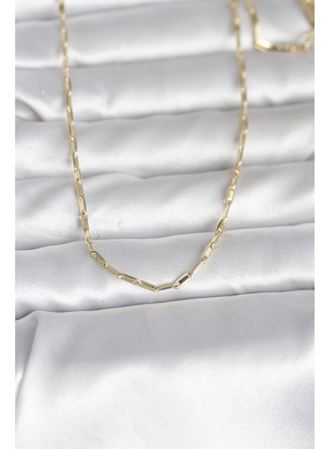 CM 14K Gold Renk İnce Ataç Zincir Model 60 cm Kadın Kolye