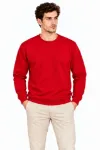 Erkek Bisiklet Yaka İçi Şardonlu 2 İplik Düz Uzun Kollu Regular Fit Sweatshirt - Kırmızı