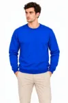Erkek Bisiklet Yaka İçi Şardonlu 2 İplik Düz Uzun Kollu Regular Fit Sweatshirt - Mavi